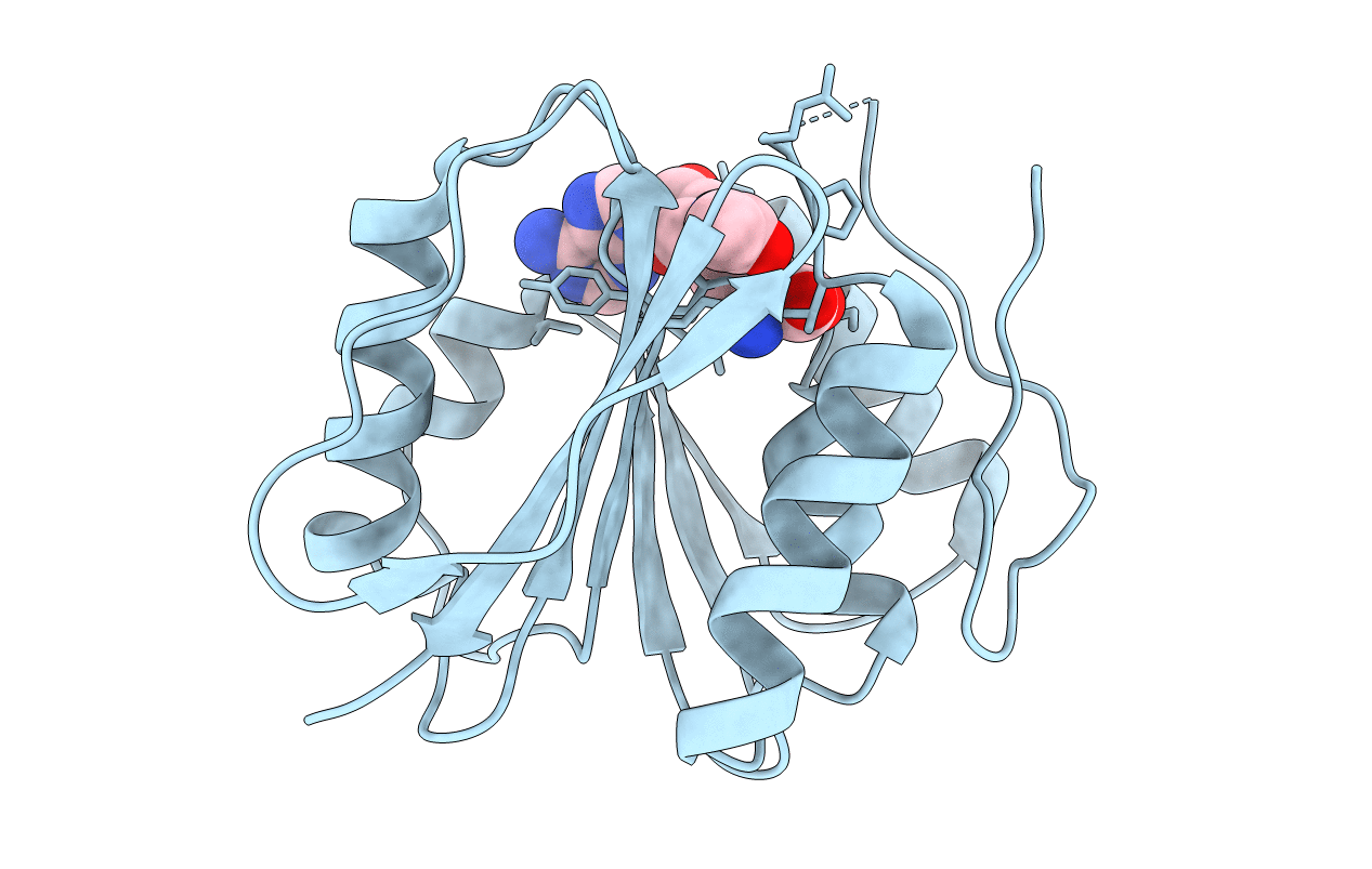 6M1C image