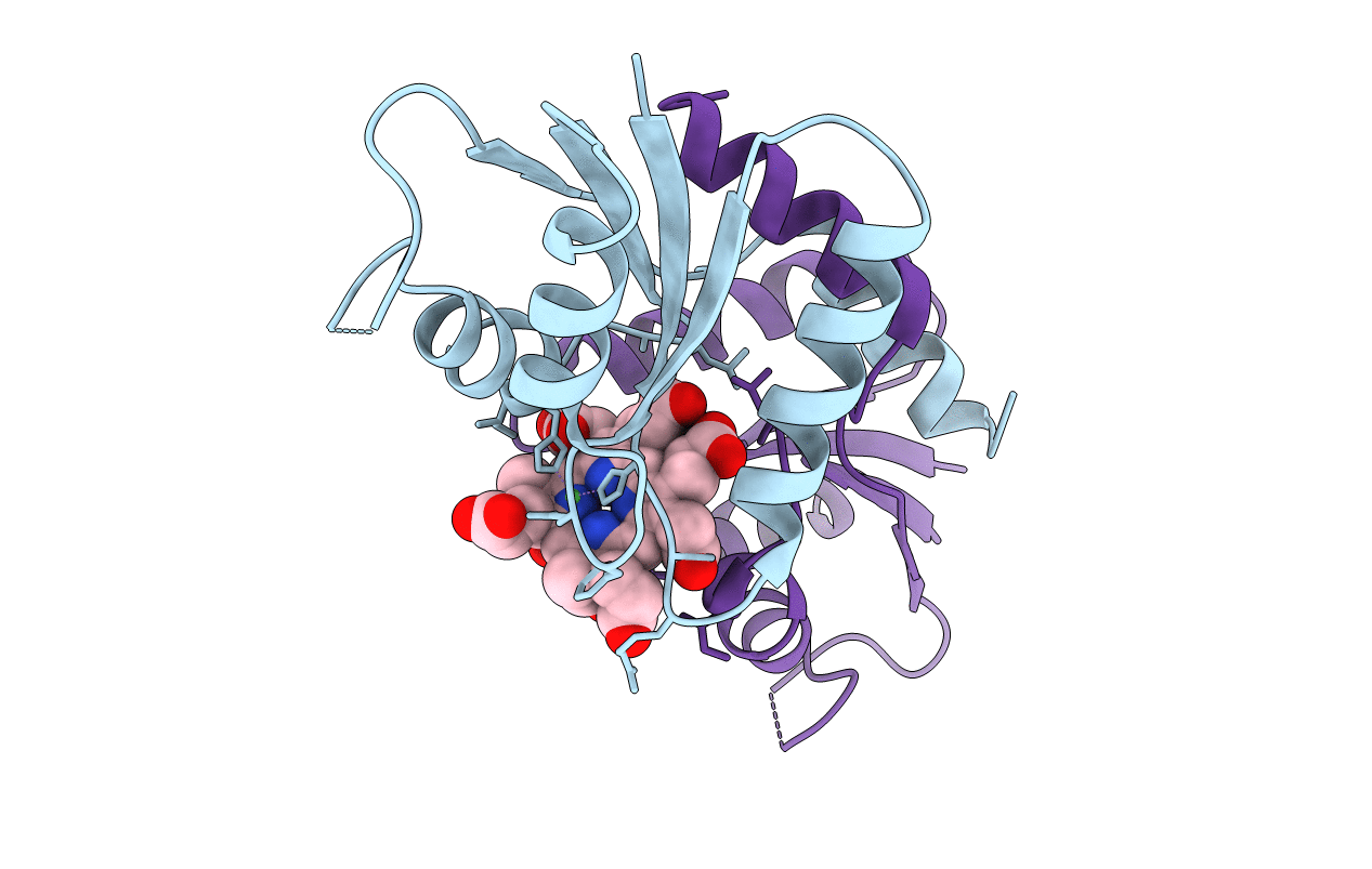 6M2H image