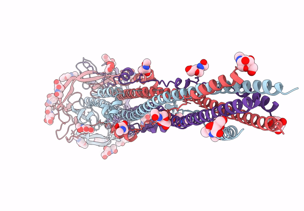 6M3W image