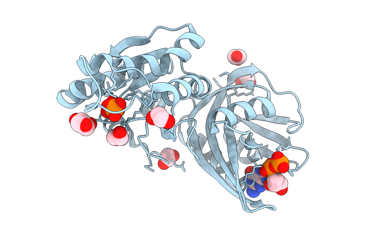 6M65 image