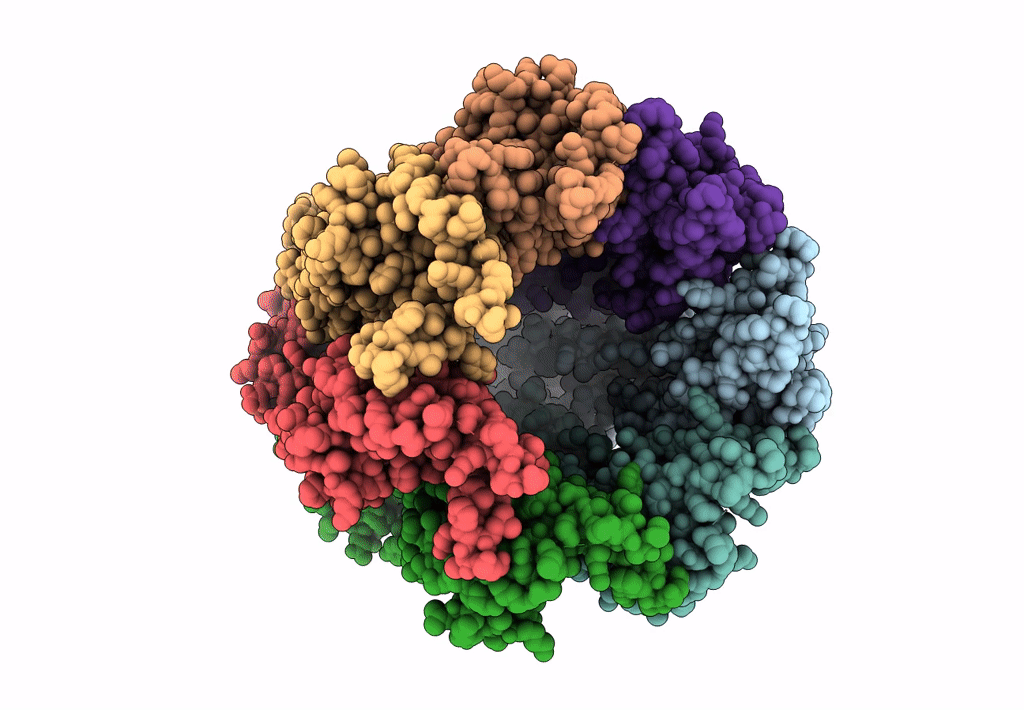 6M68 image