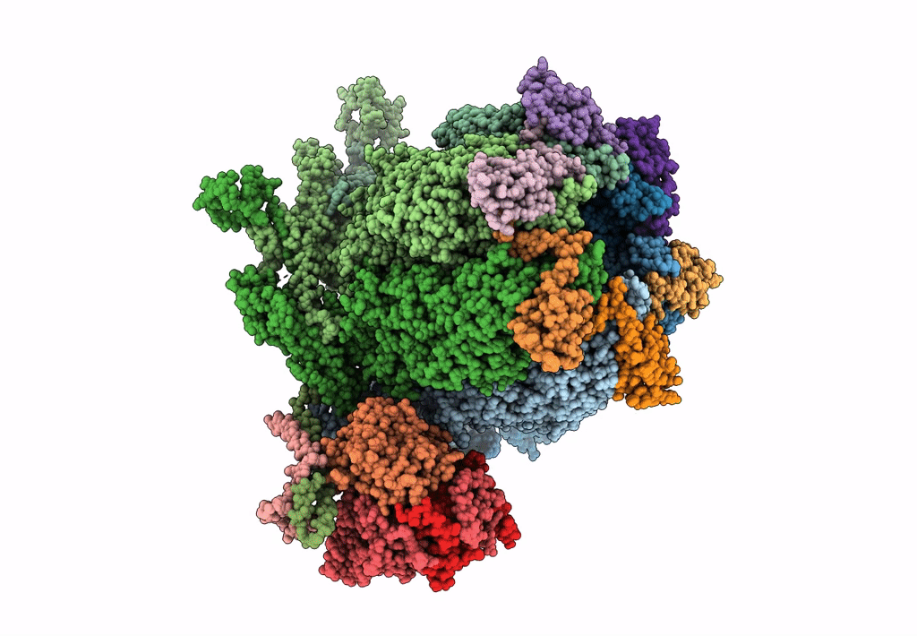 6M6I image