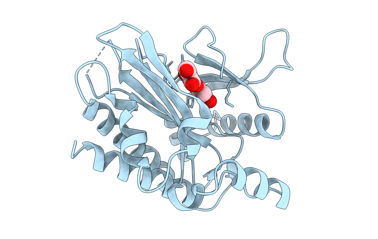 6M89 image