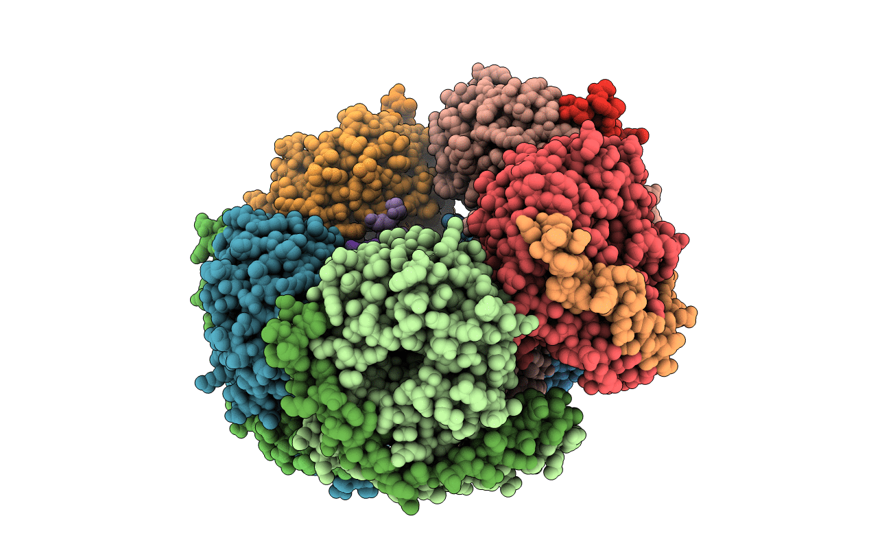 6M8S image