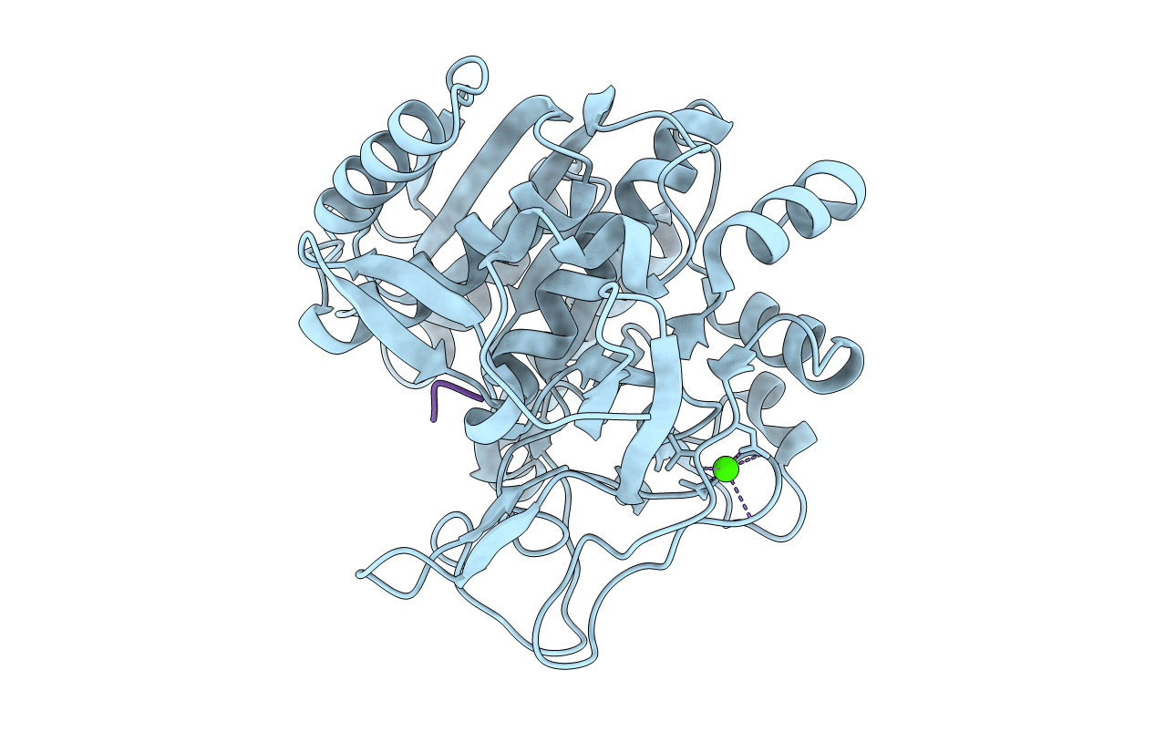 6M9D image