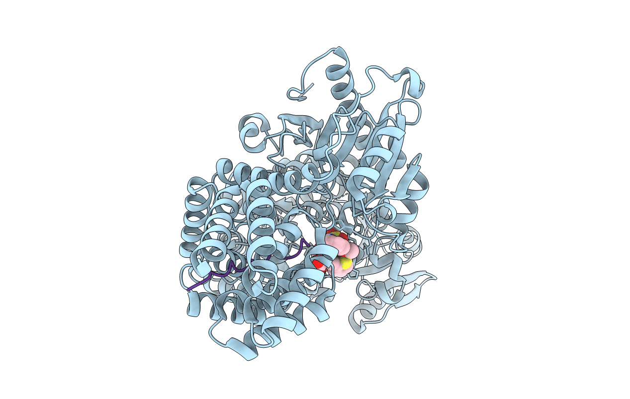 6MA2 image