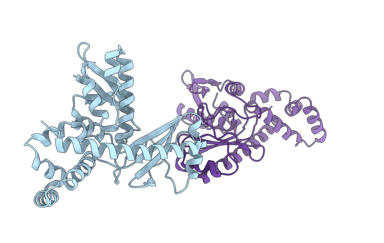 6MC8 image