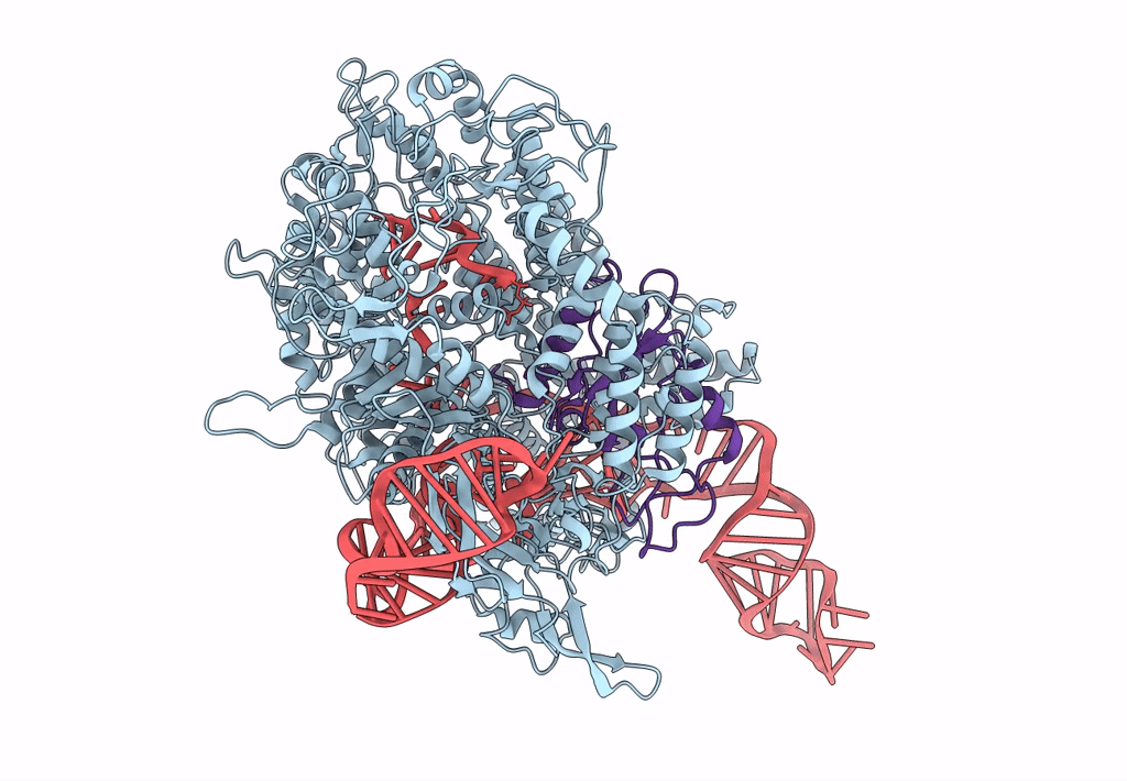6MCB image