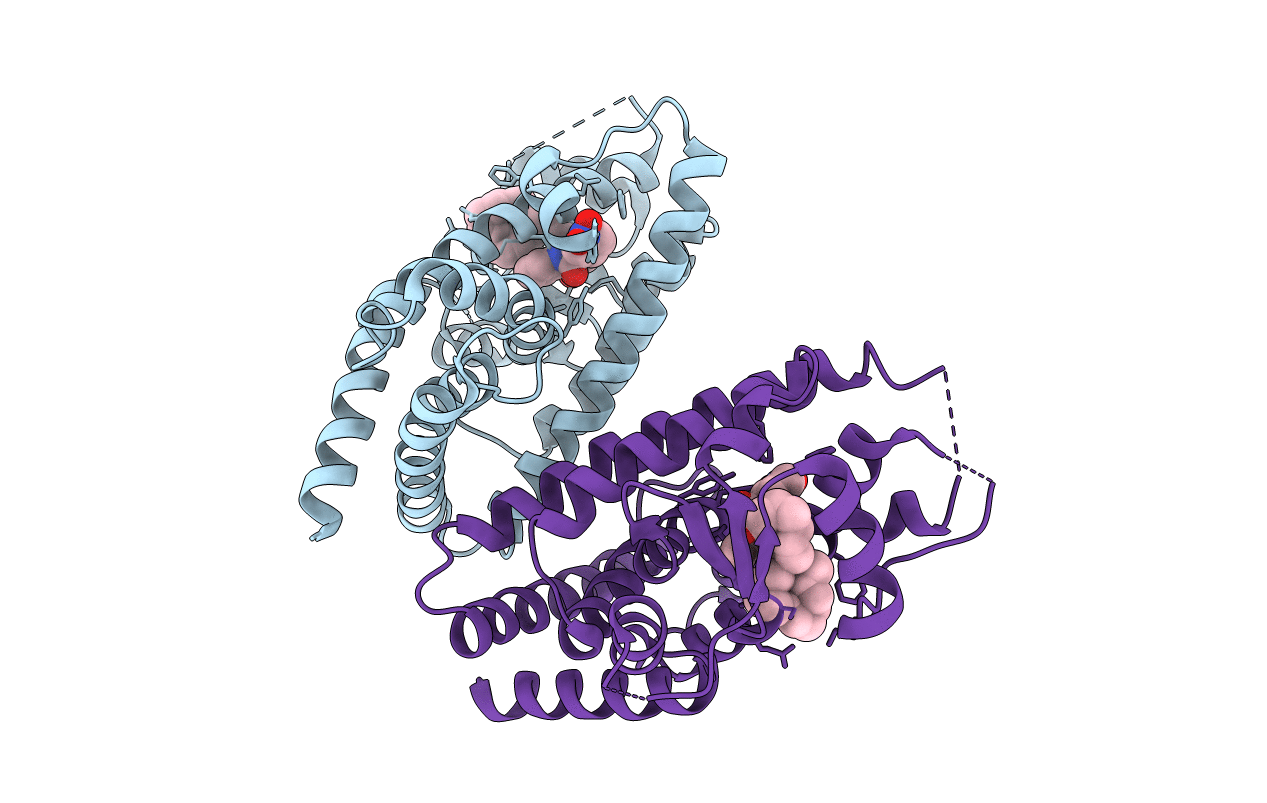 6MD2 image