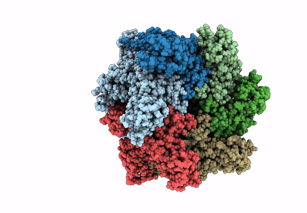 6MDM image