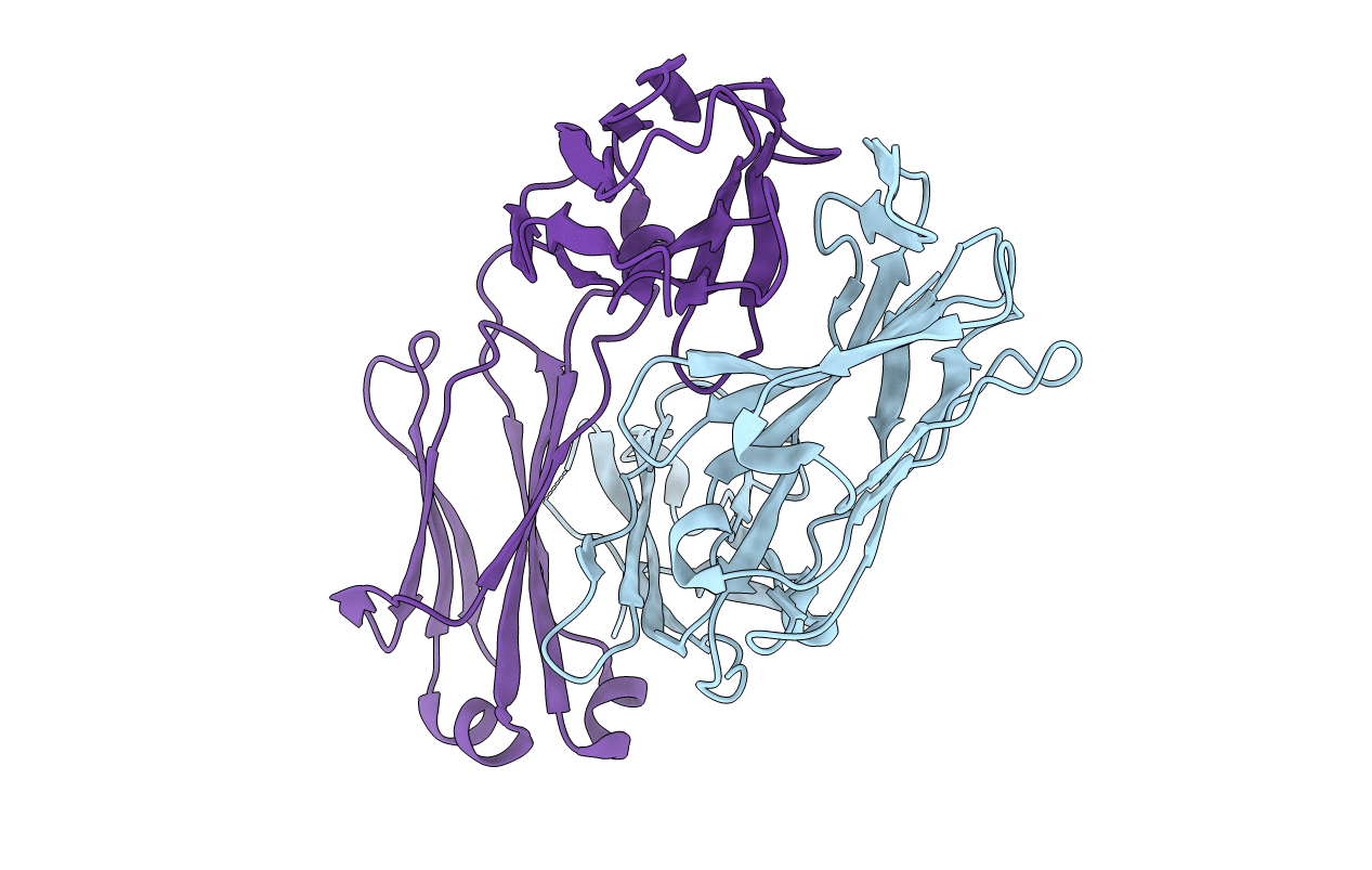 6MEF image