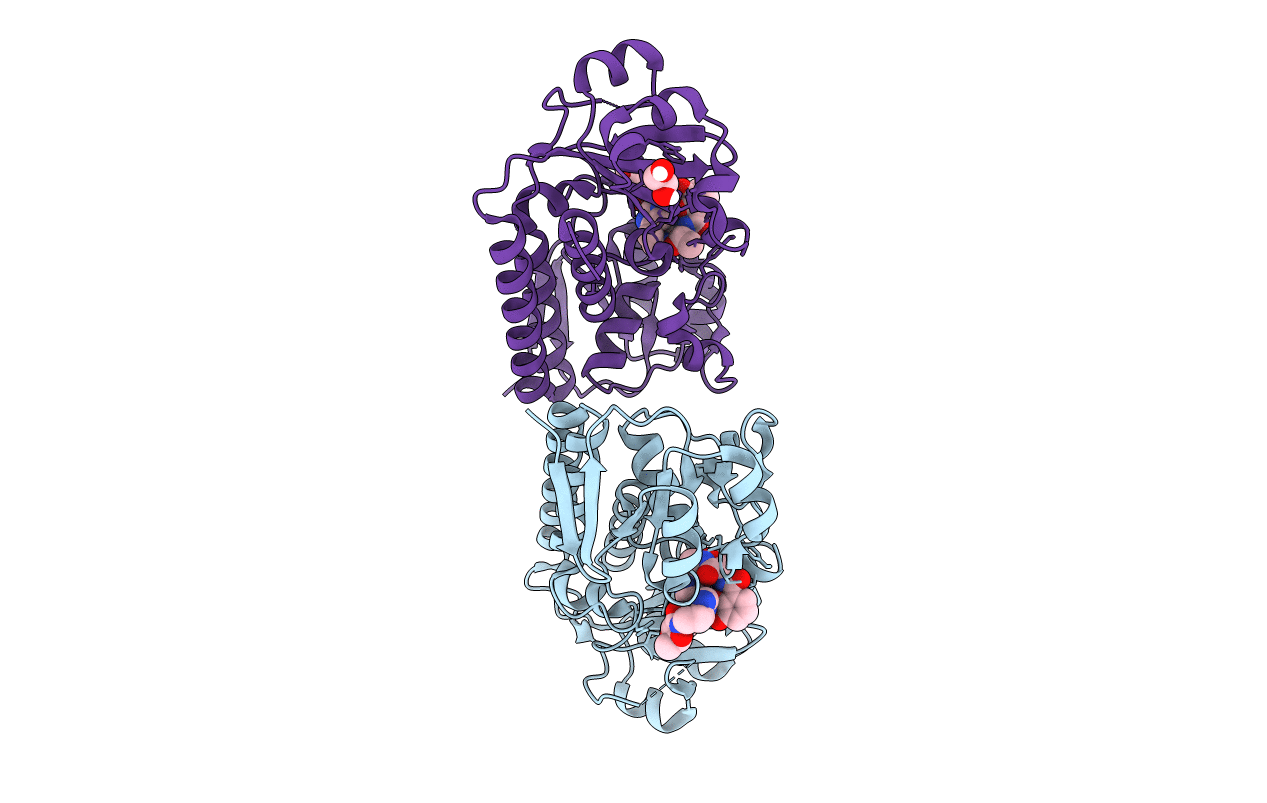 6MFL image
