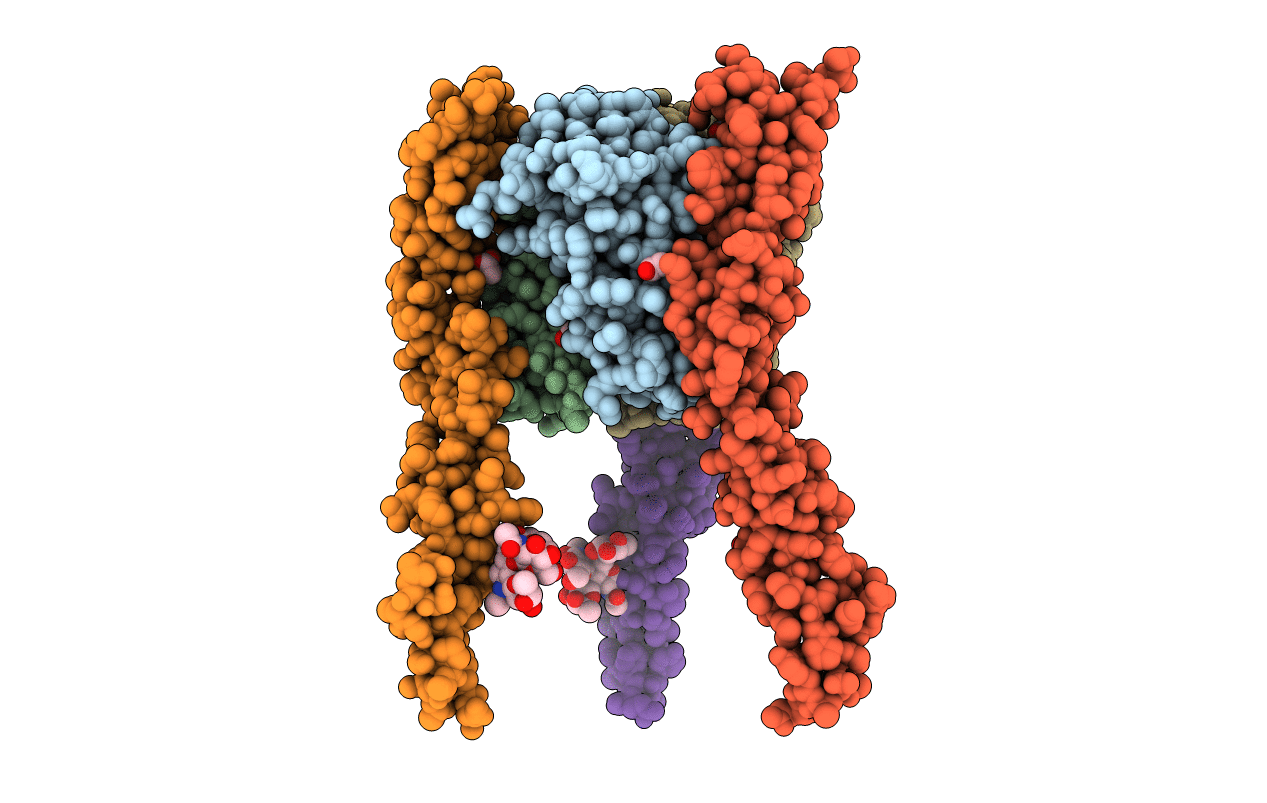 6MGP image
