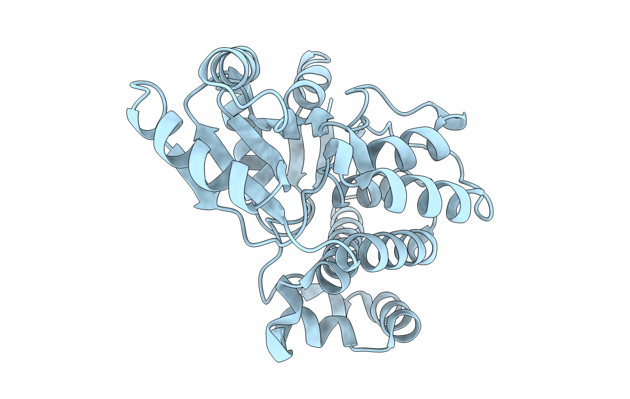 6MHP image