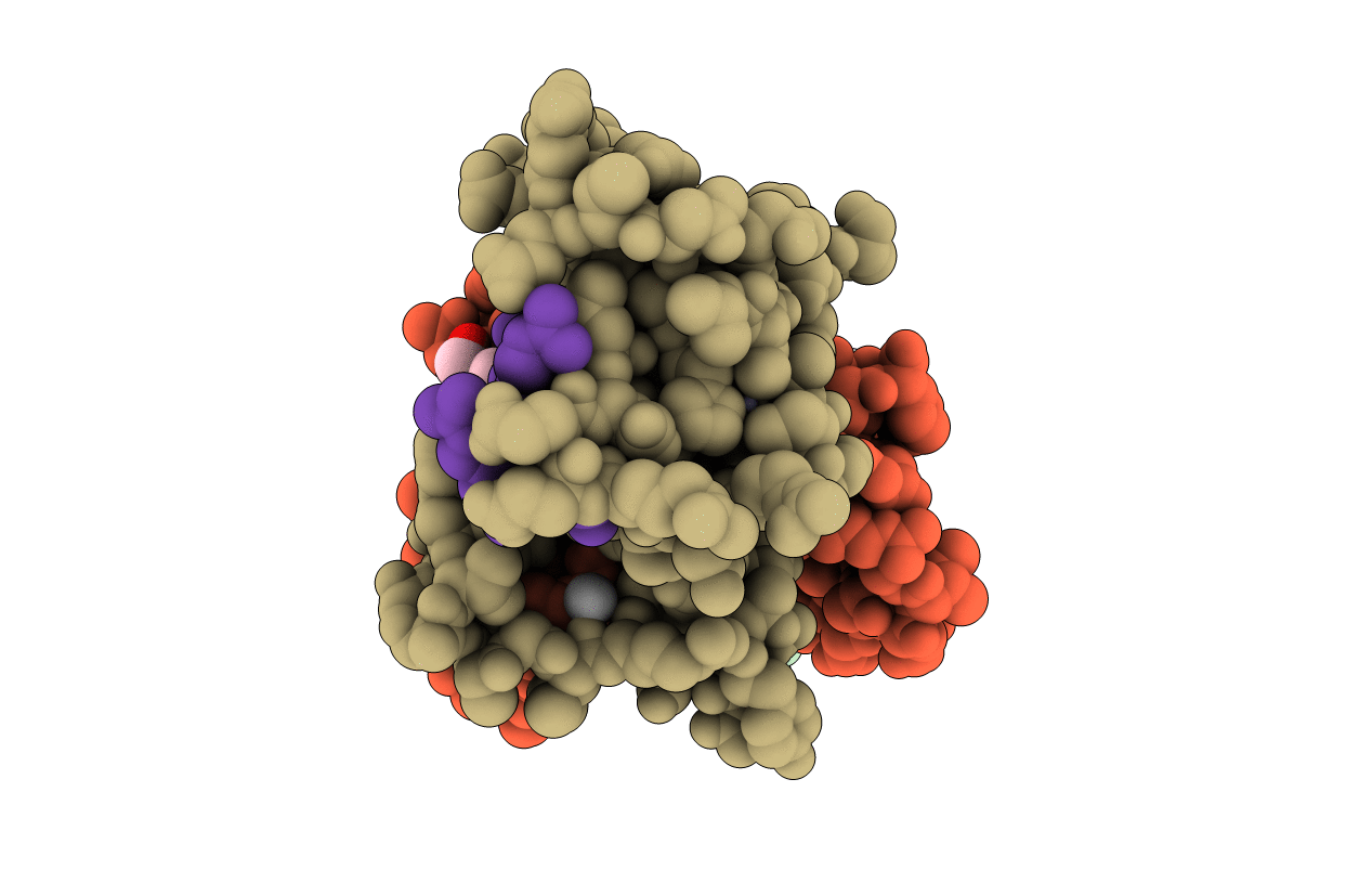 6MLC image