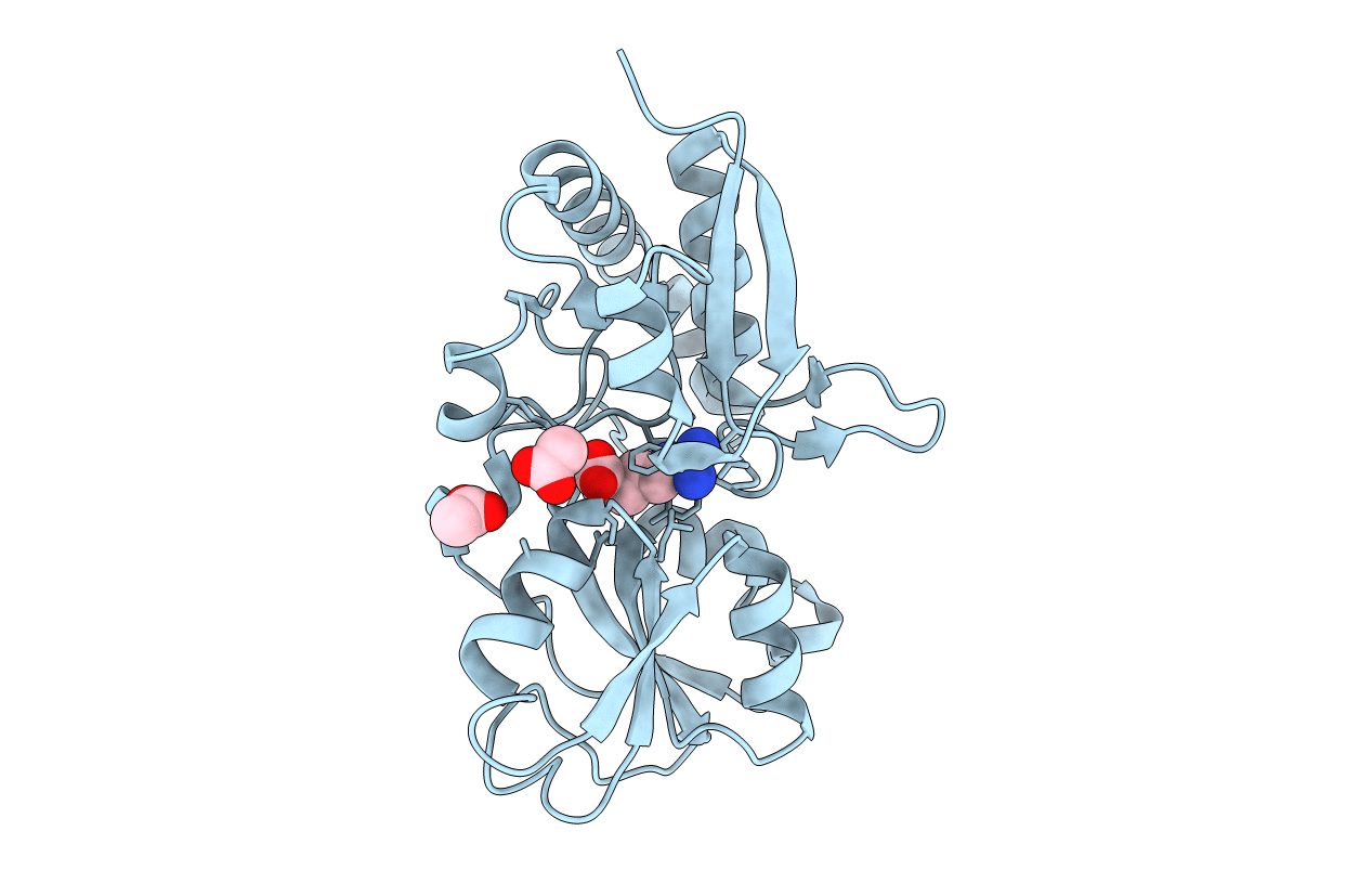 6MLE image