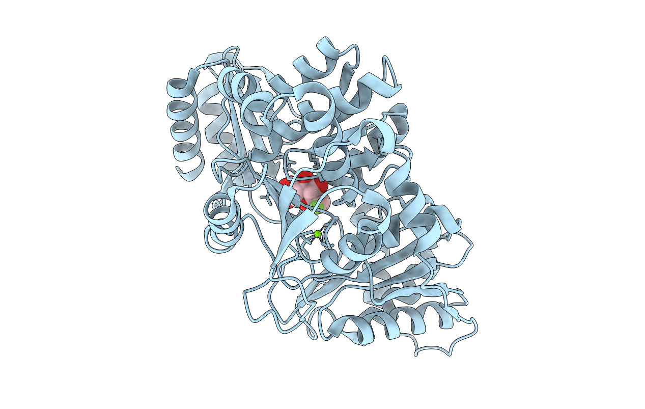 6MLF image