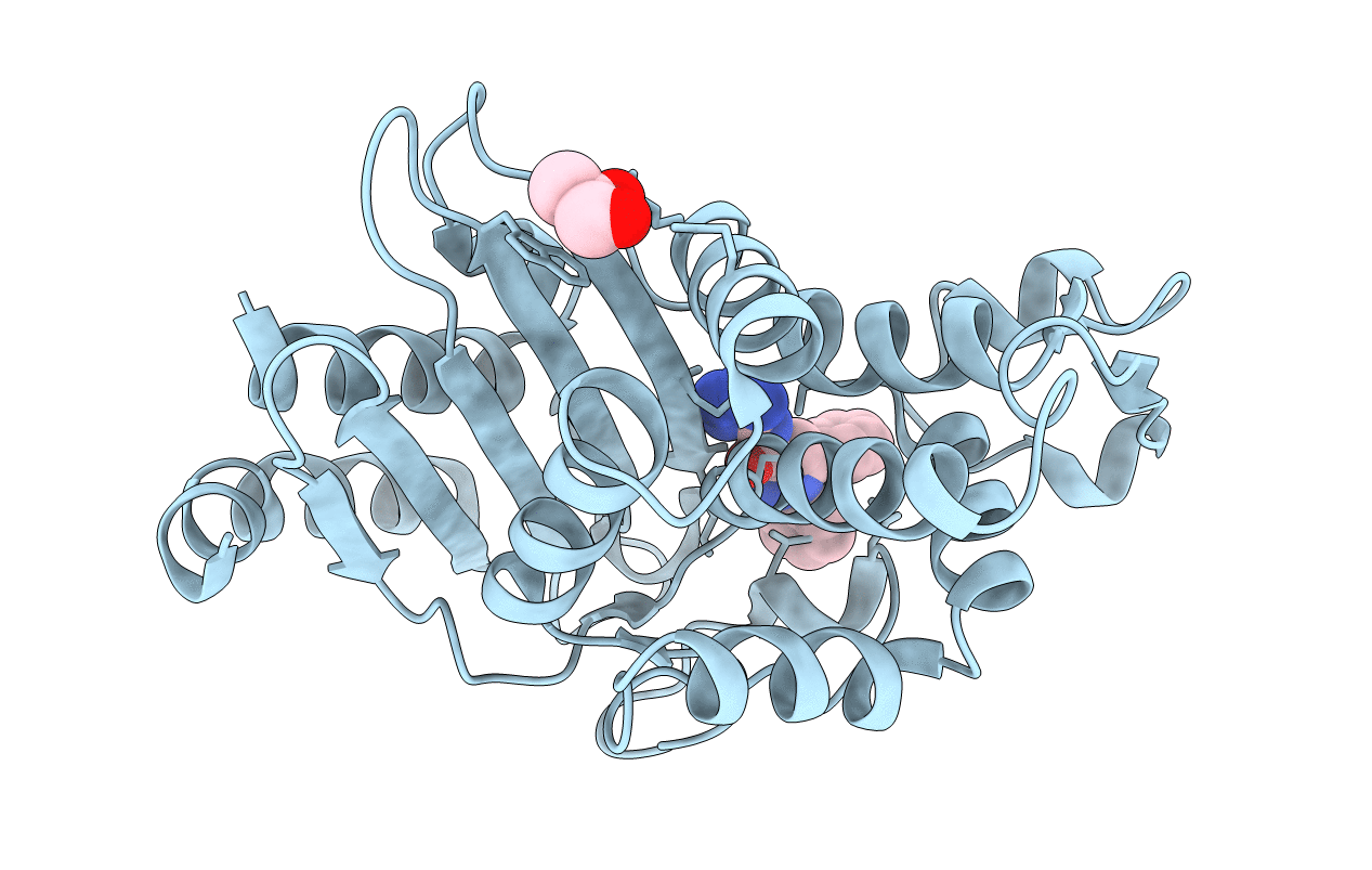 6MLL image