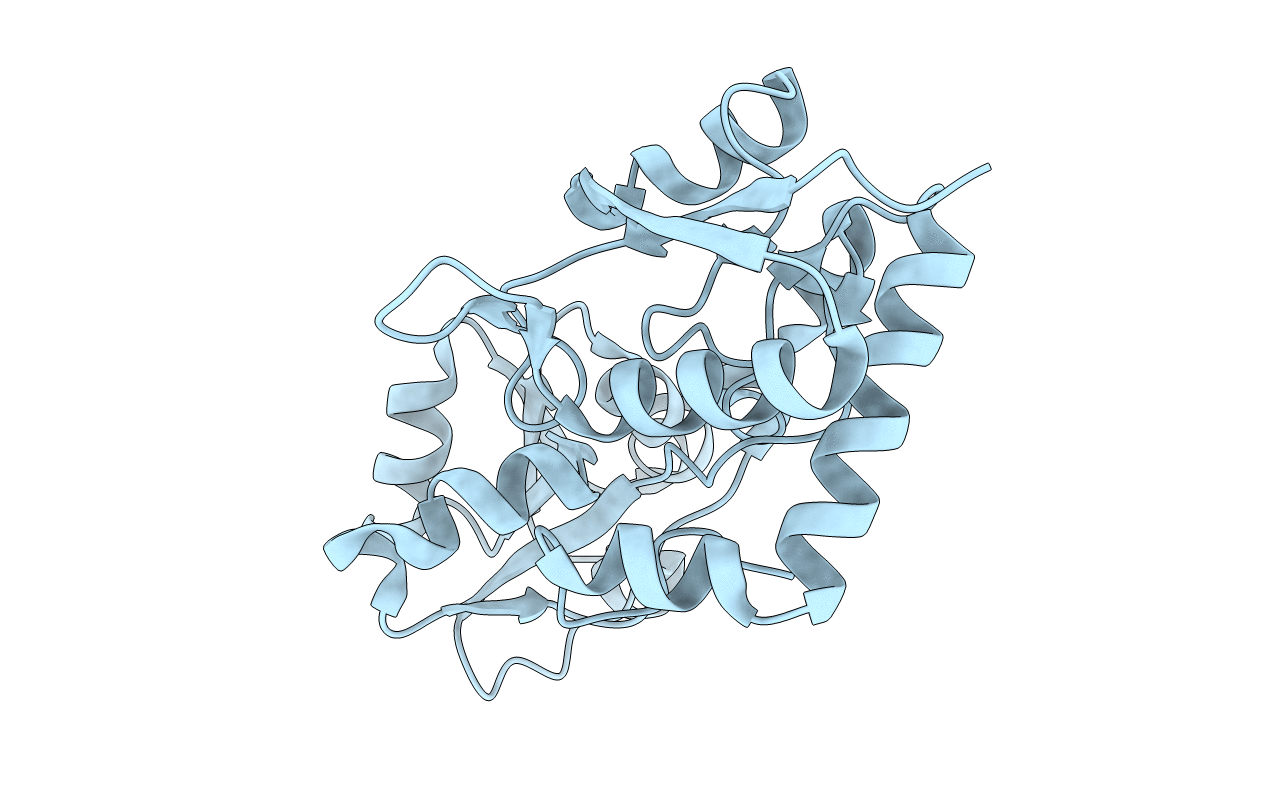 6MLV image