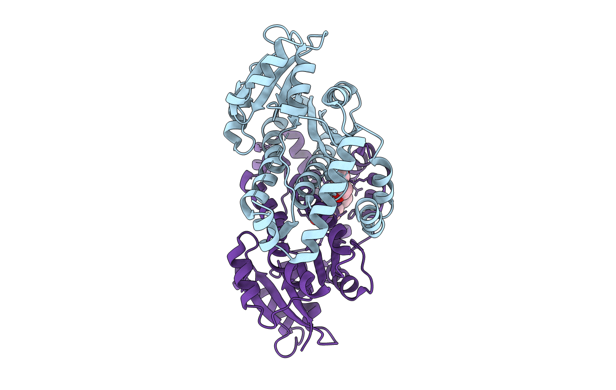 6MNC image