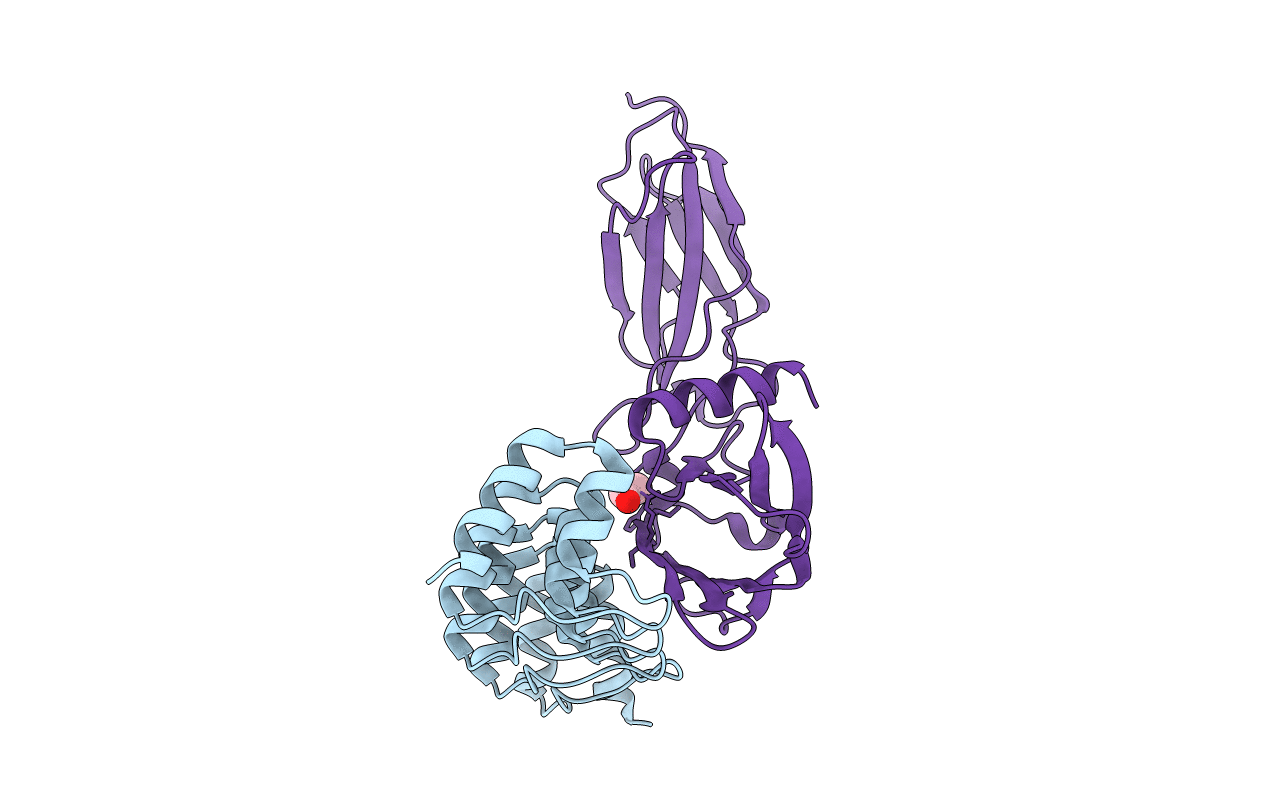 6MOF image