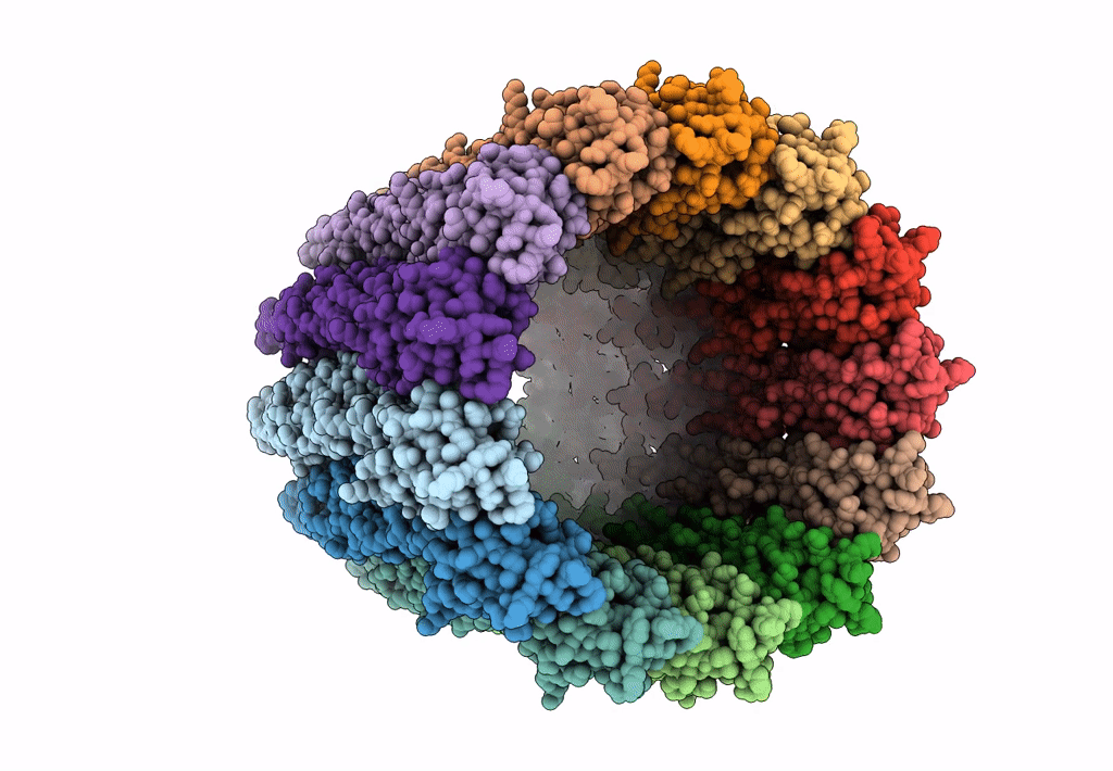 6MRU image