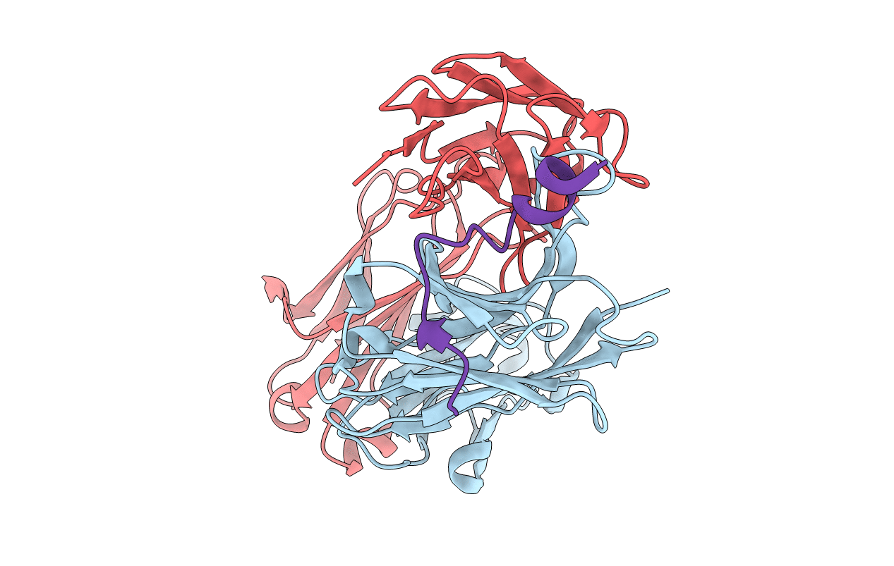 6MTT image