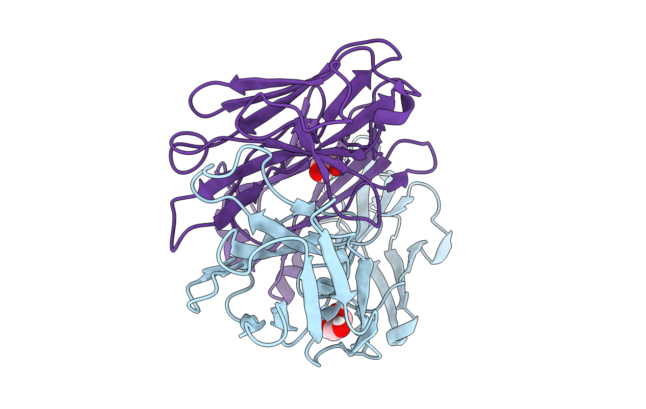 6MTX image