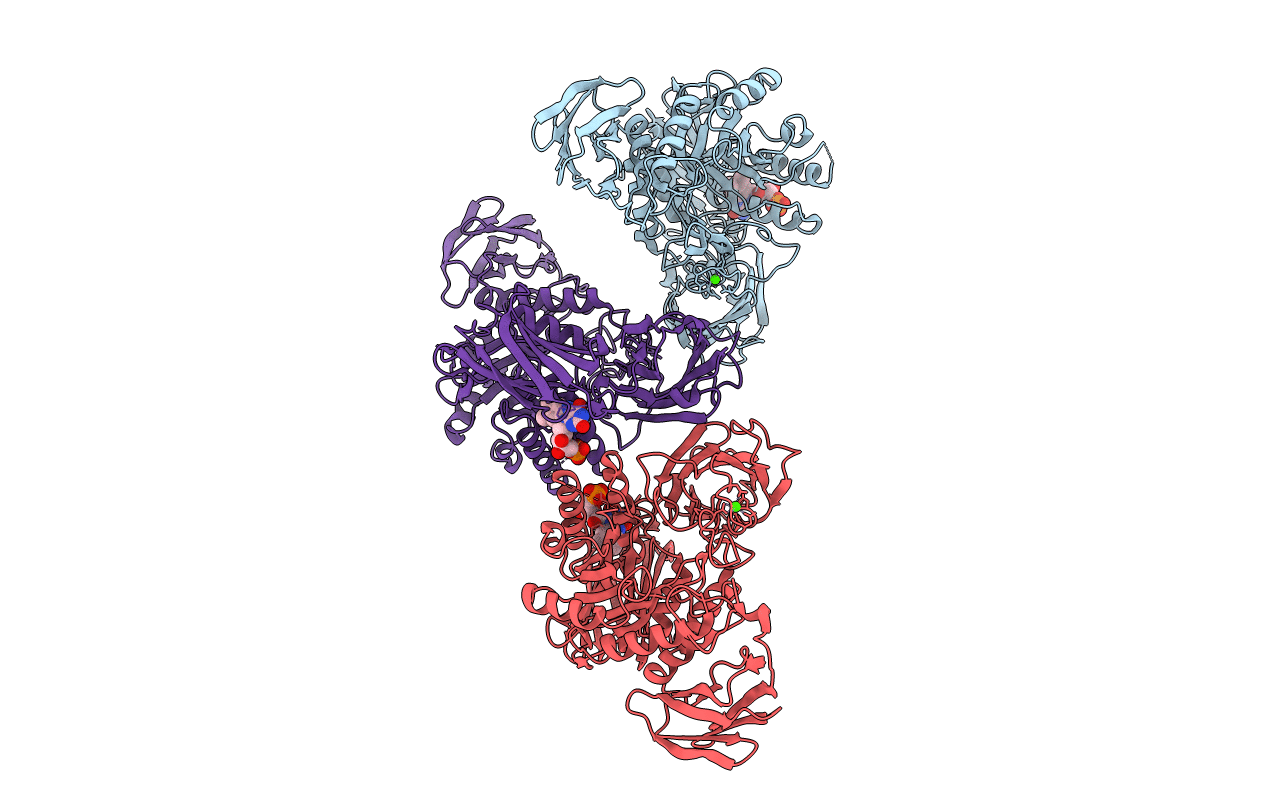 6MVG image