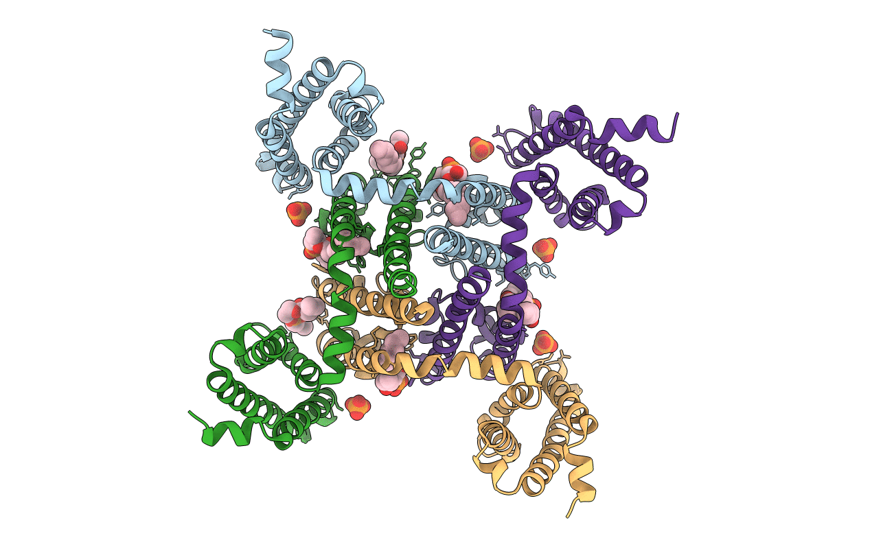 6MVV image
