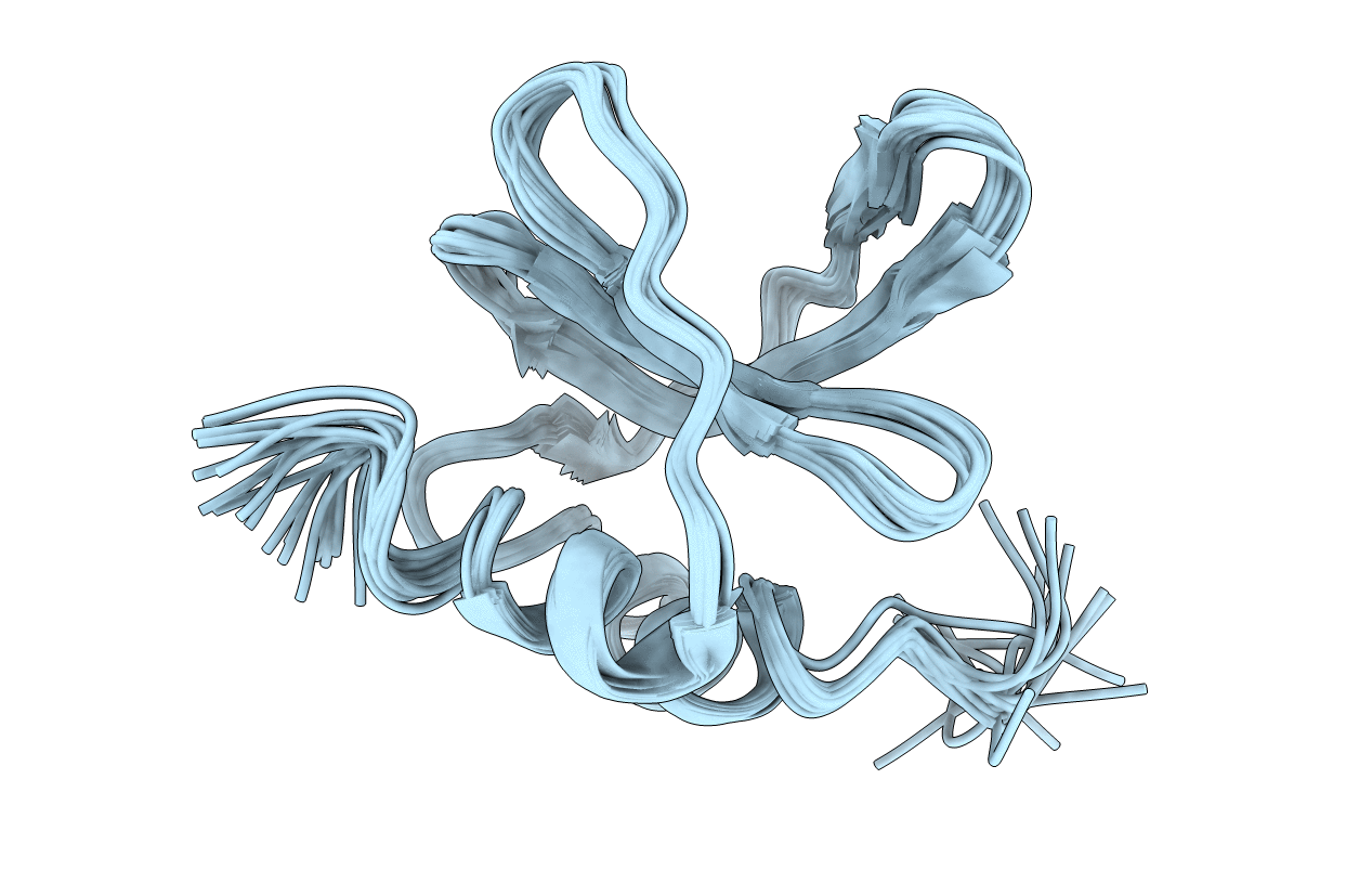 6MWM image
