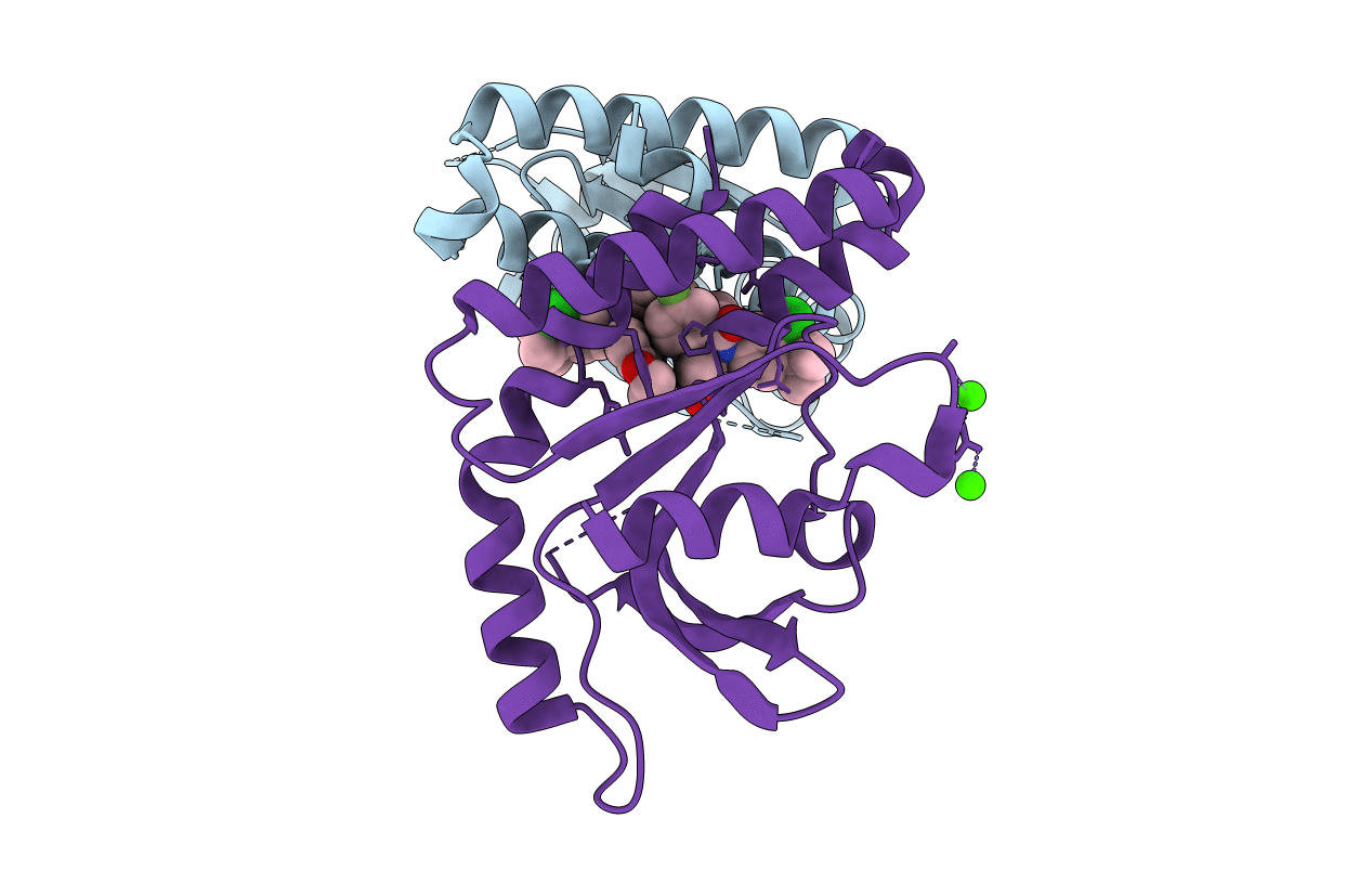 6MXE image