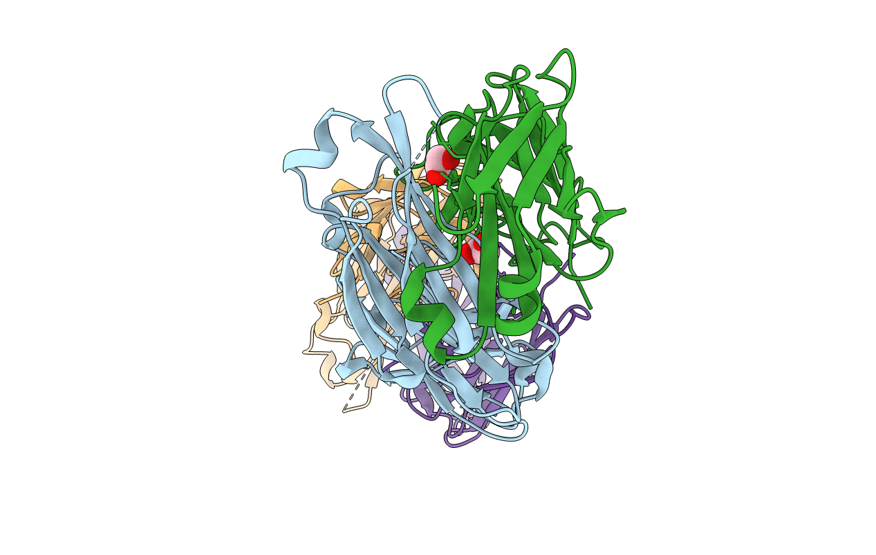 6MXS image