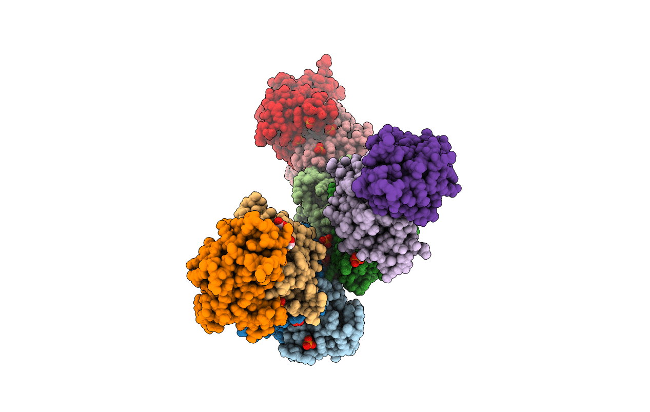 6MXX image