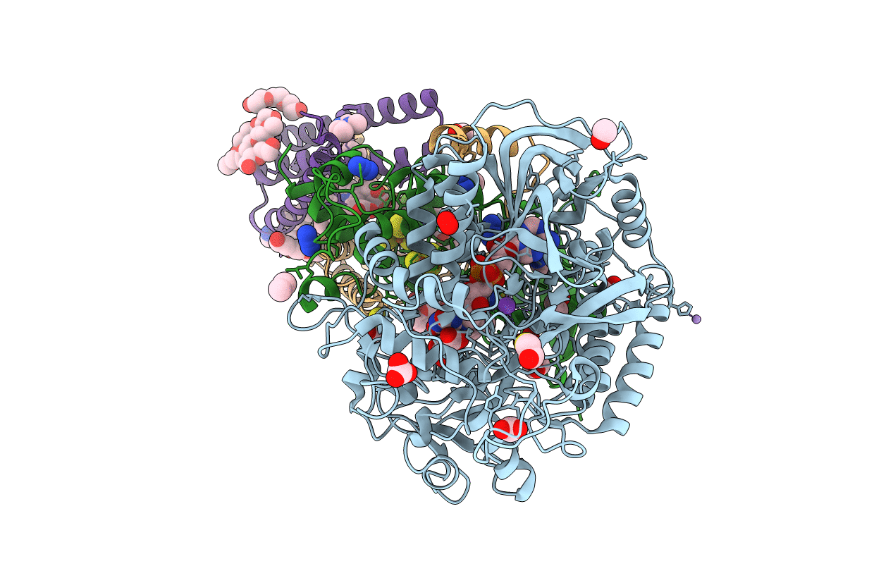 6MYO image