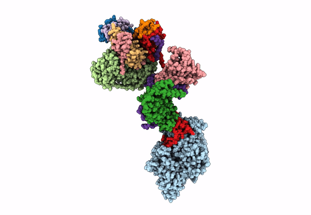 6MZC image