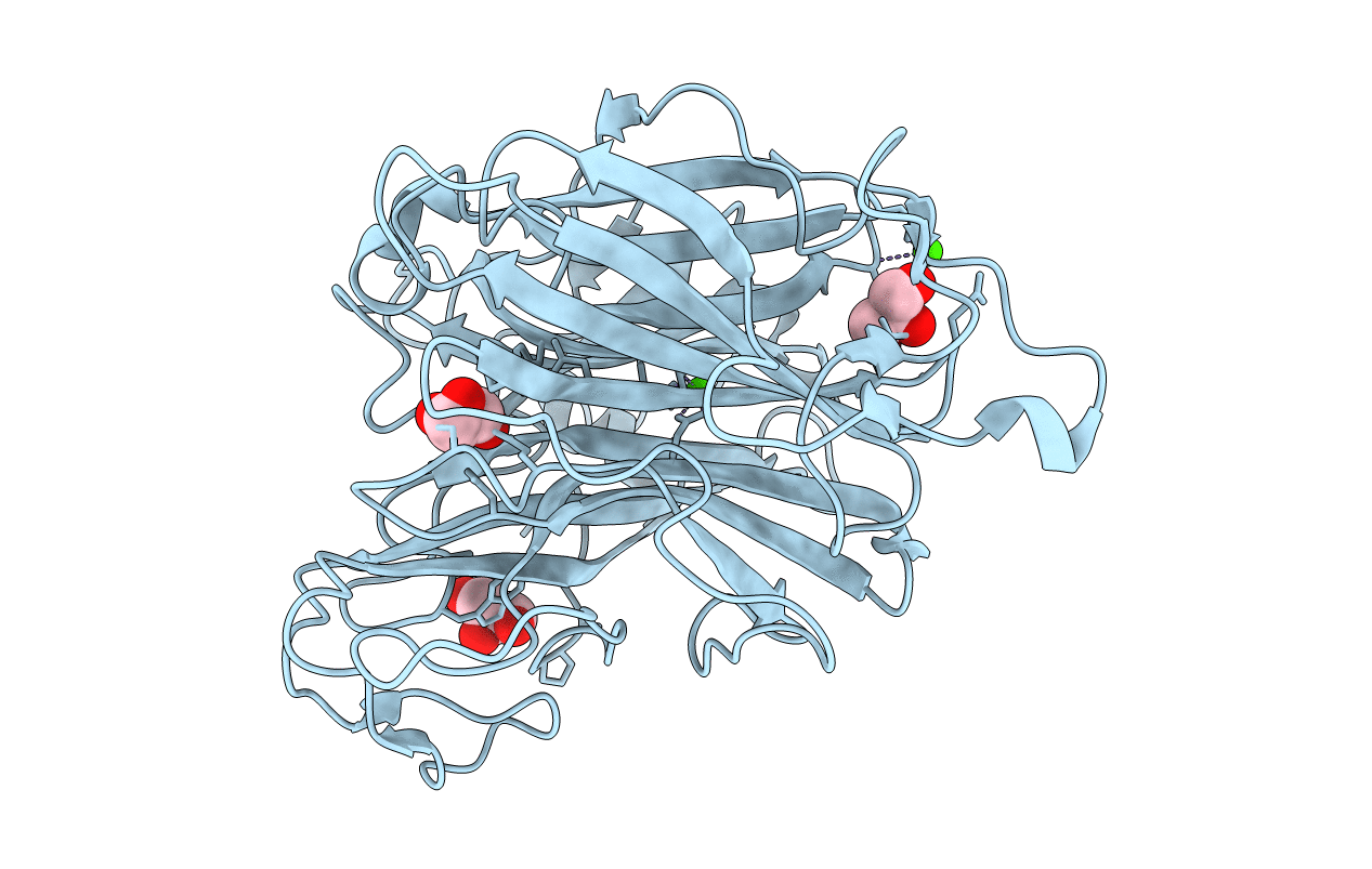 6N1A image