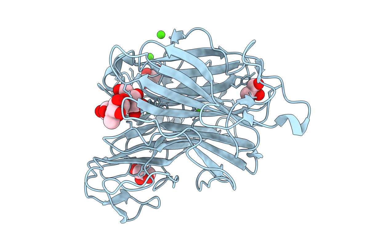 6N1B image