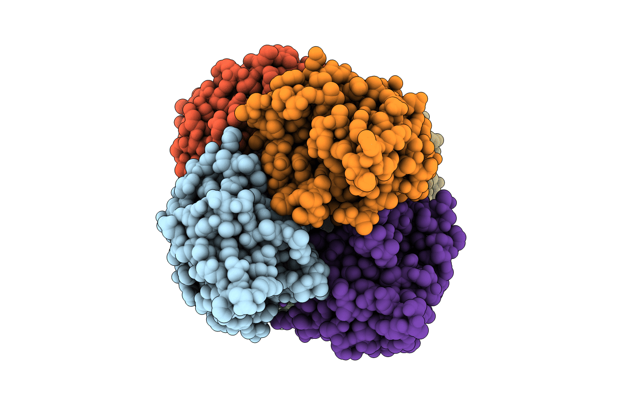 6N1C image