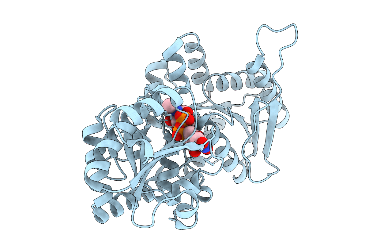 6N1X image