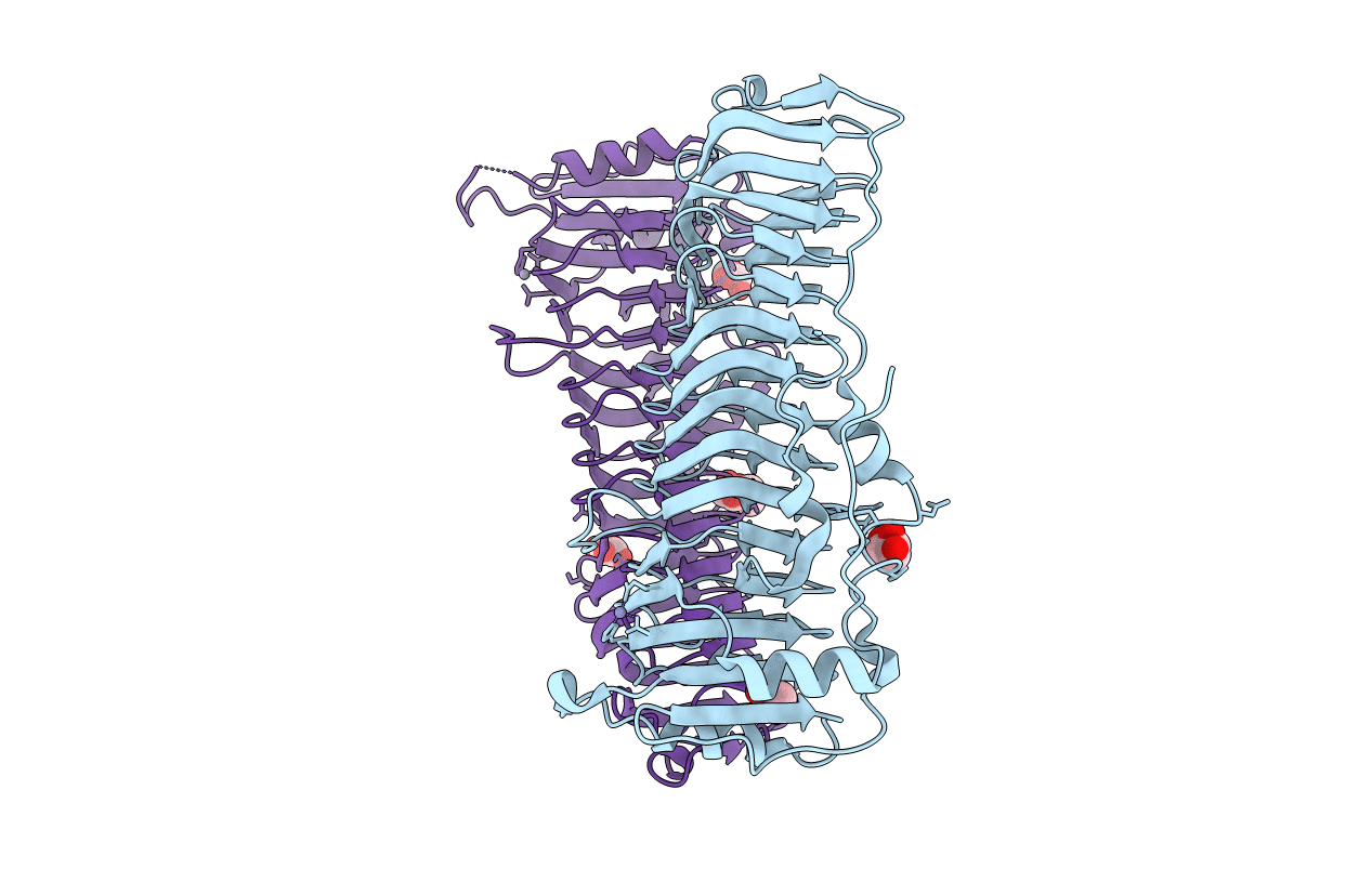 6N2C image