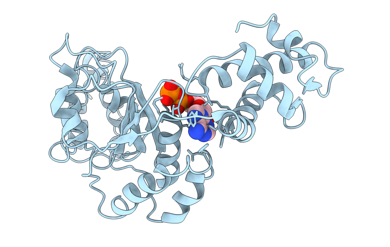 6N2I image
