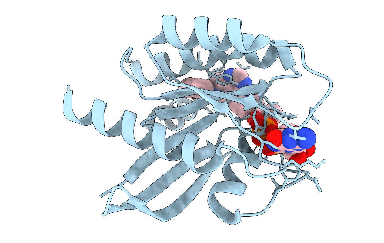 6N2J image