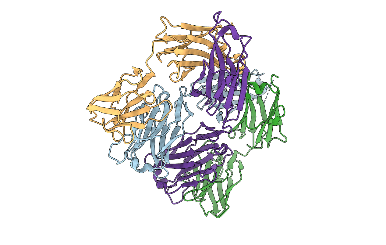 6N2X image