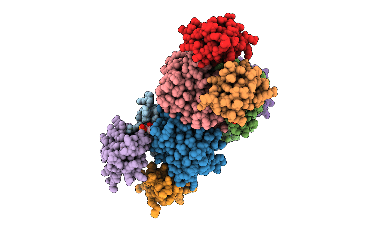 6N3P image