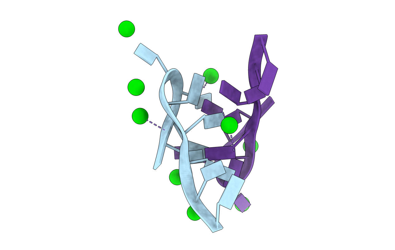 6N4G image