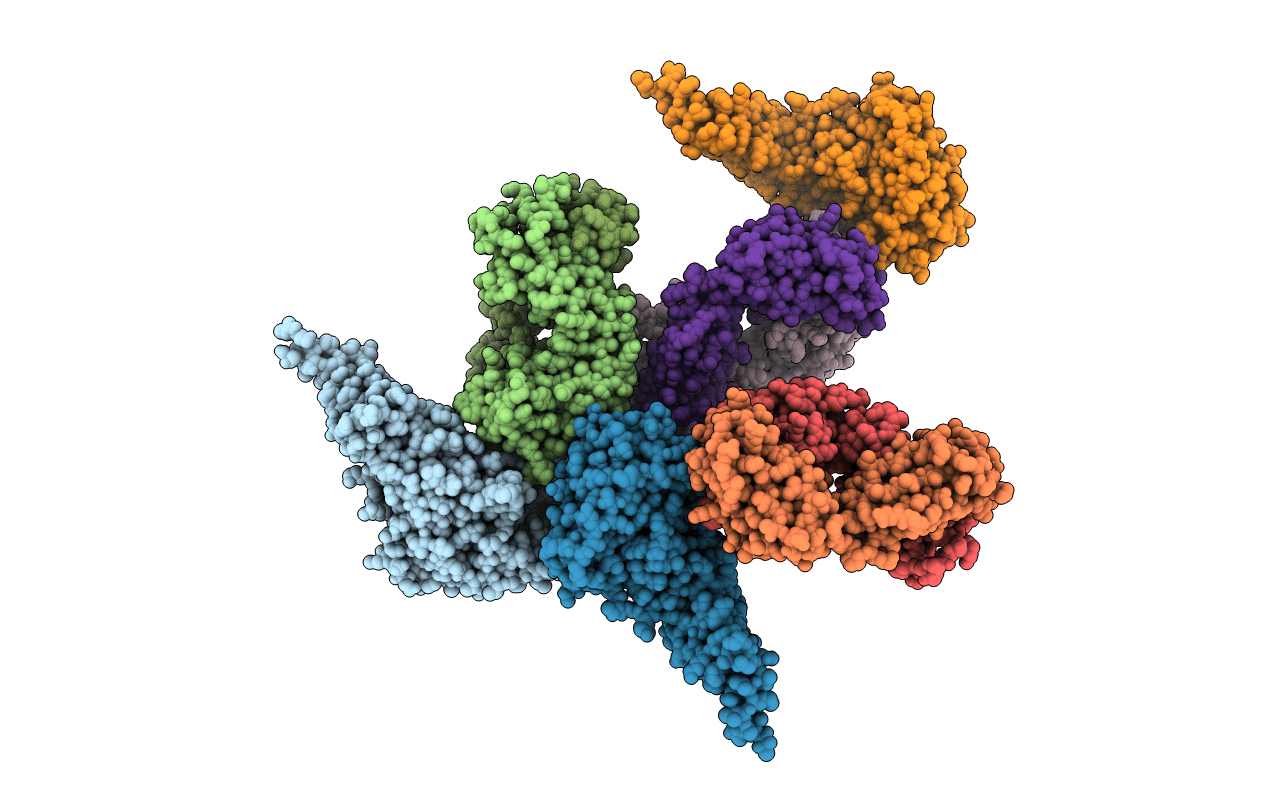 6N5D image