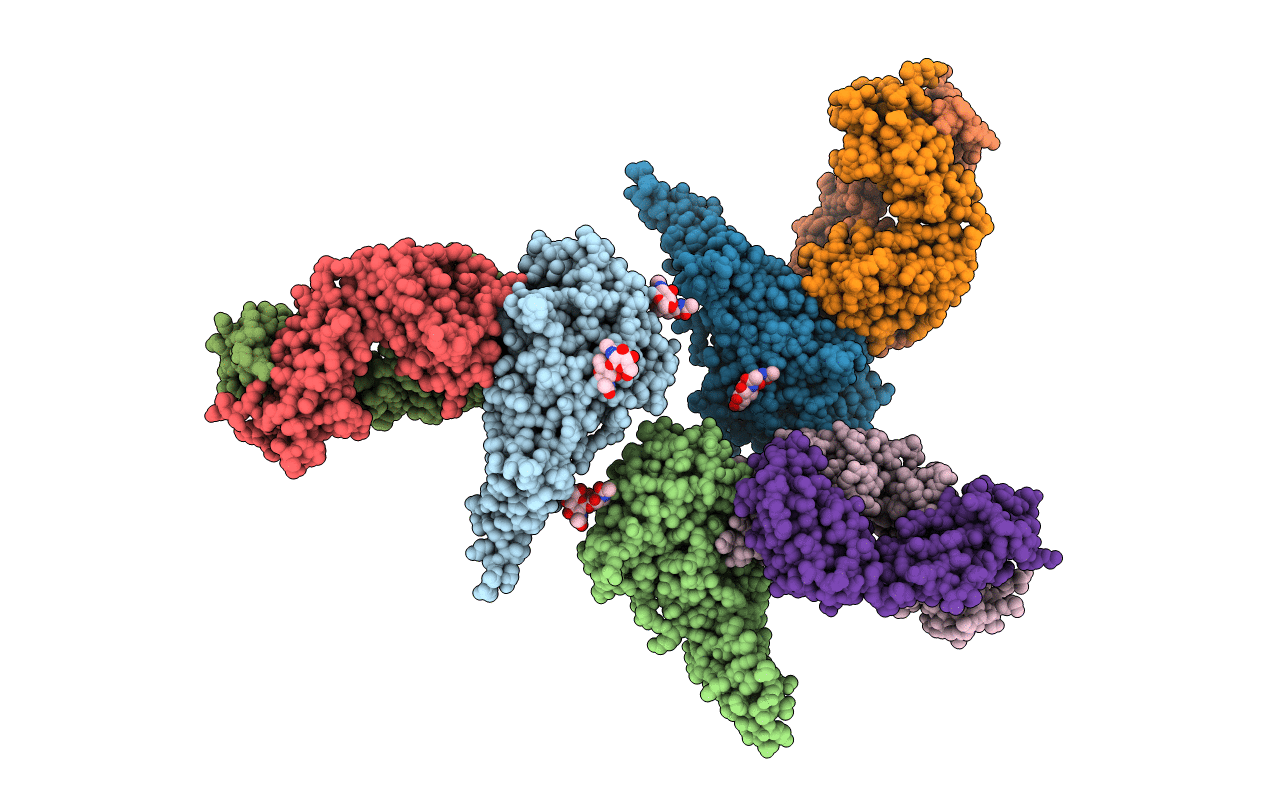 6N5E image