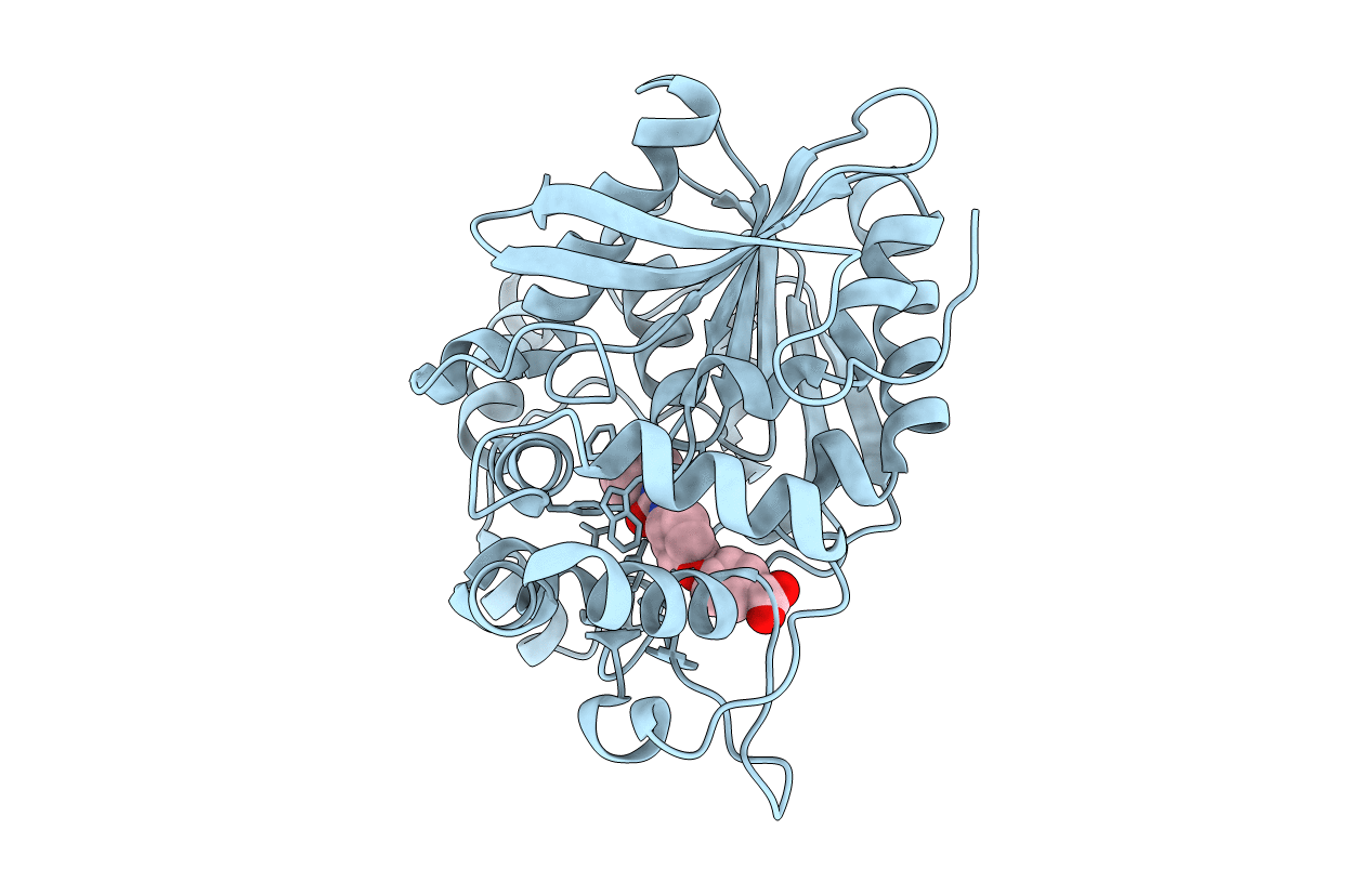 6N5H image
