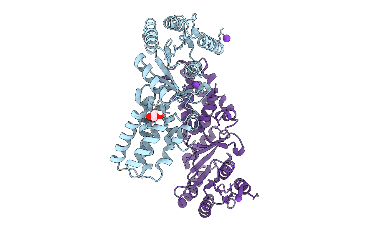 6N5I image